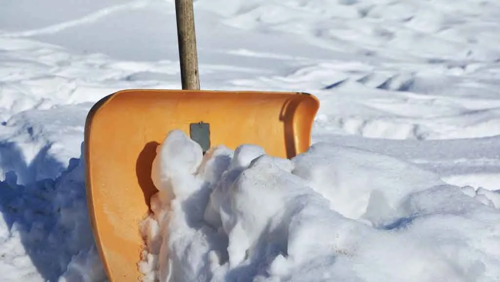 Så lyckas du med snöskottningen och undviker en ryggskada