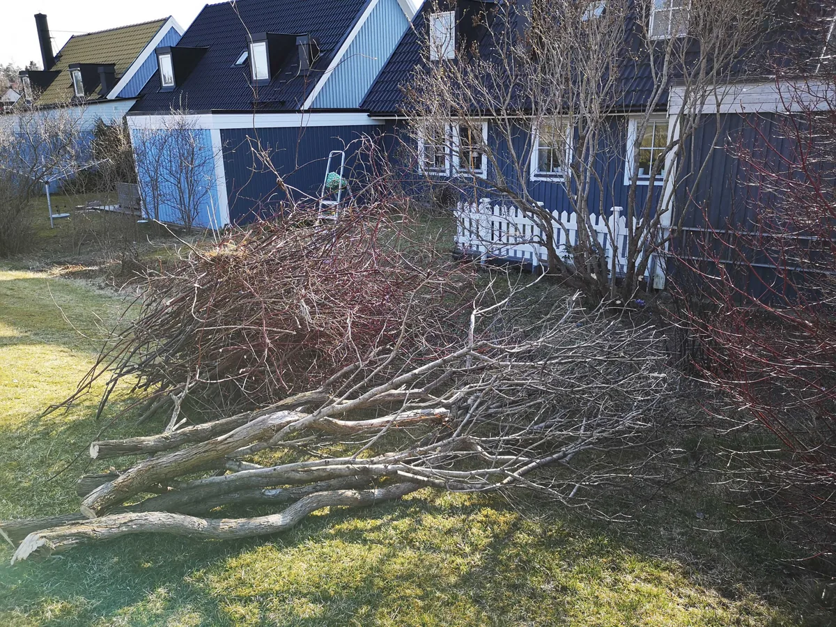 hjälp i trädgården
