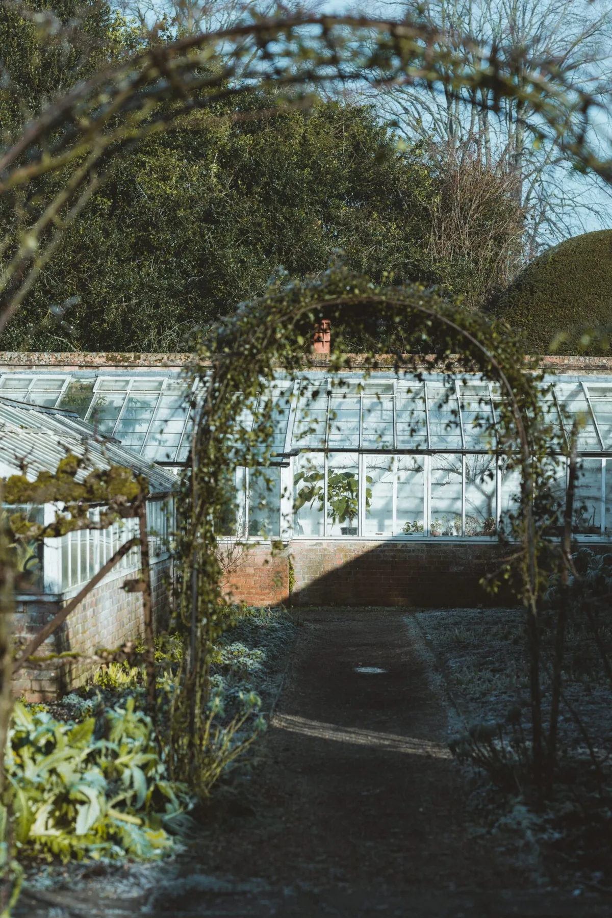 rosenbåge
