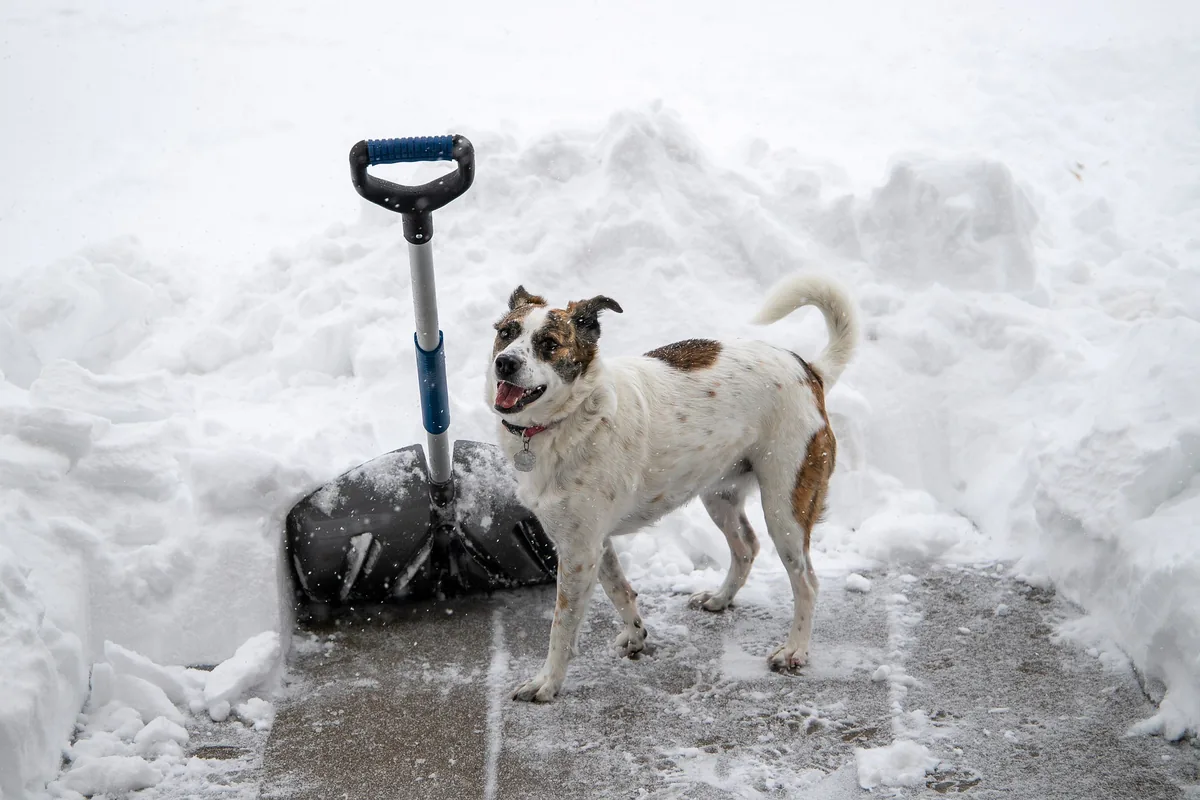 snö hyvel
