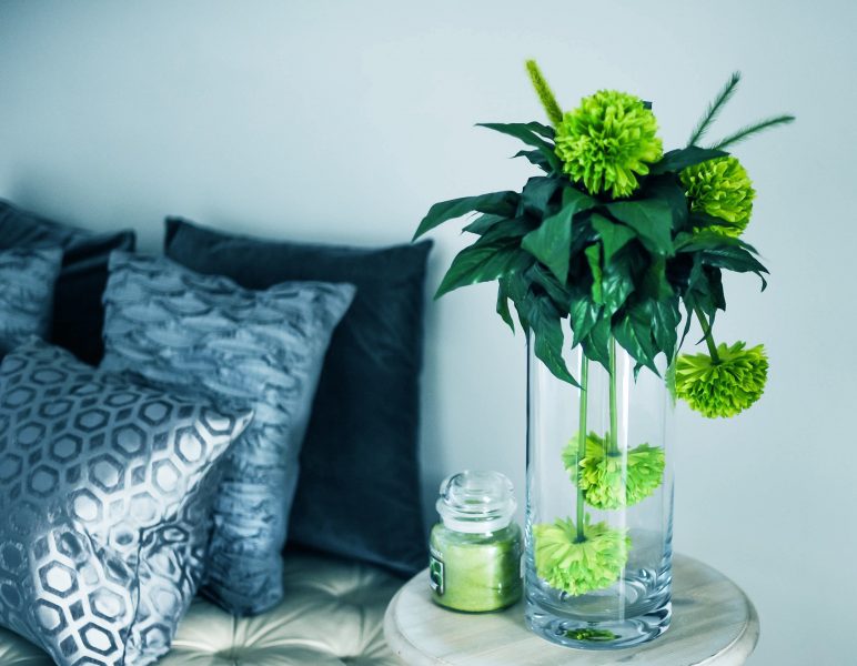 plants-in-vase