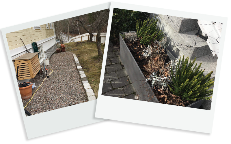 bilder2